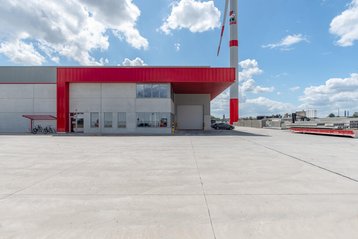 tessenderlo-ham-fingo – beeld 1