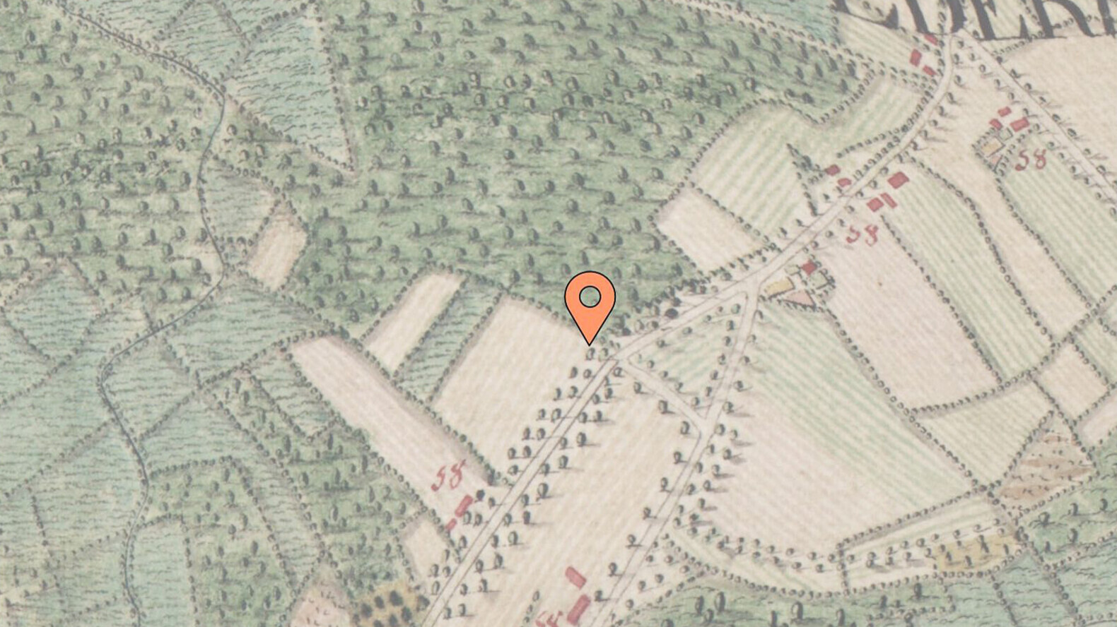 pulderbos-draaiboom – beeld 7