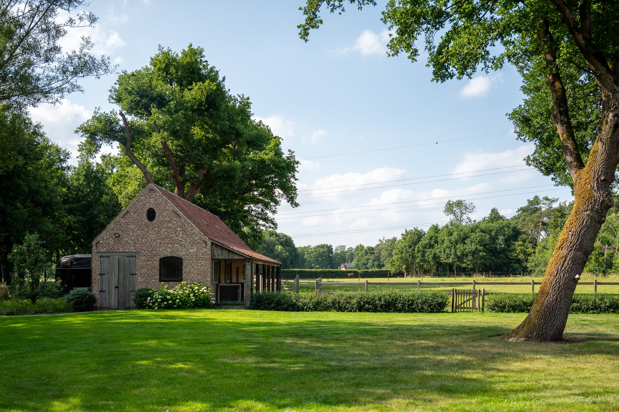 pulderbos-dries – beeld 22
